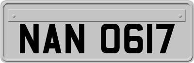 NAN0617