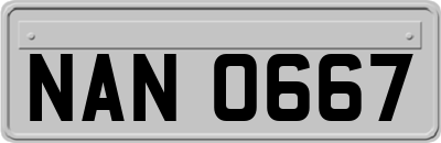 NAN0667