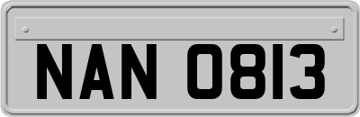 NAN0813