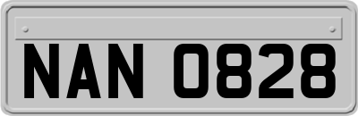 NAN0828