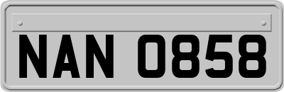 NAN0858