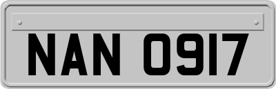 NAN0917