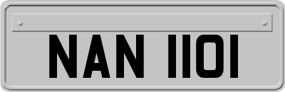 NAN1101