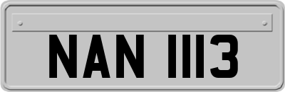 NAN1113