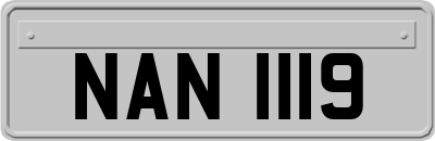 NAN1119