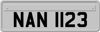 NAN1123