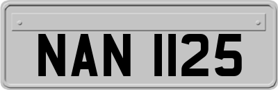 NAN1125