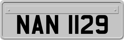 NAN1129