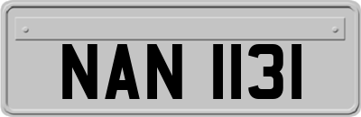 NAN1131