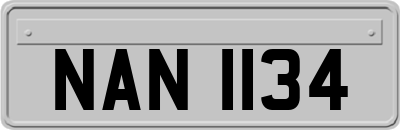 NAN1134