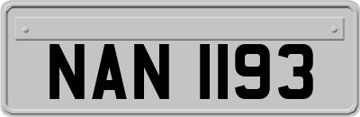 NAN1193