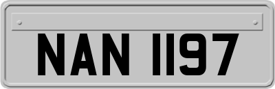 NAN1197