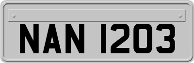 NAN1203