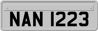 NAN1223