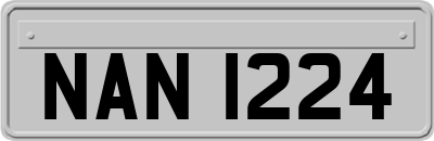NAN1224
