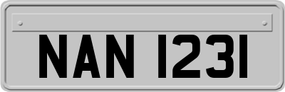 NAN1231