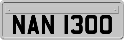 NAN1300