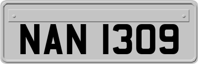 NAN1309