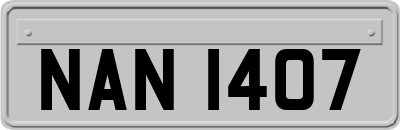 NAN1407