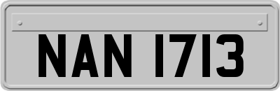 NAN1713