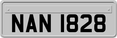 NAN1828