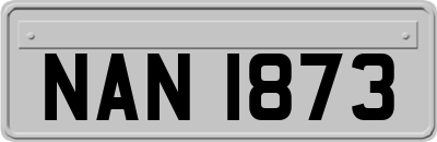 NAN1873