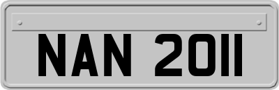 NAN2011