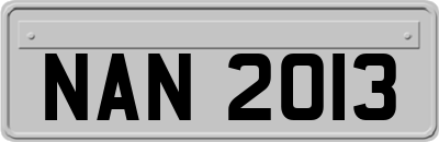 NAN2013