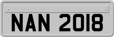 NAN2018