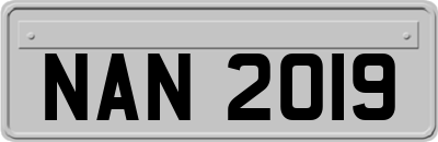 NAN2019