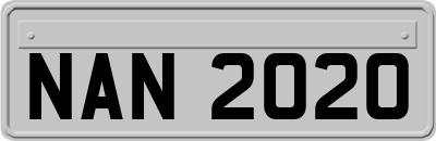 NAN2020