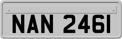 NAN2461