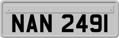 NAN2491