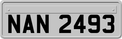 NAN2493