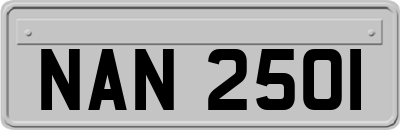 NAN2501