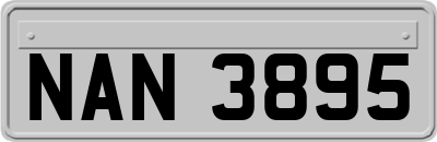 NAN3895