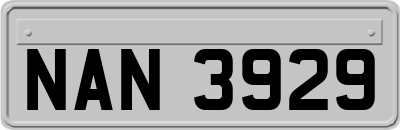 NAN3929
