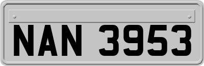 NAN3953