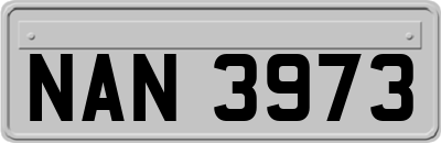 NAN3973