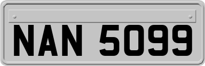 NAN5099