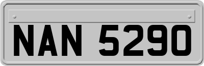 NAN5290