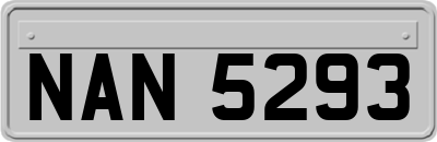 NAN5293