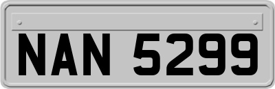 NAN5299