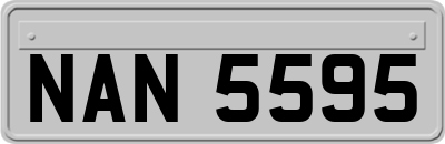 NAN5595