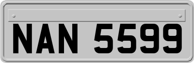 NAN5599