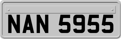 NAN5955