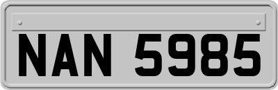 NAN5985
