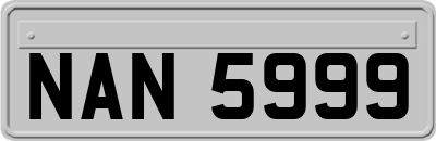 NAN5999
