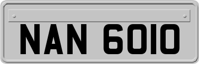 NAN6010