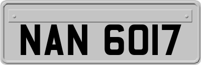 NAN6017